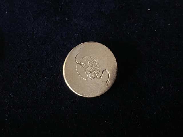 Pin_Ying Yang snake