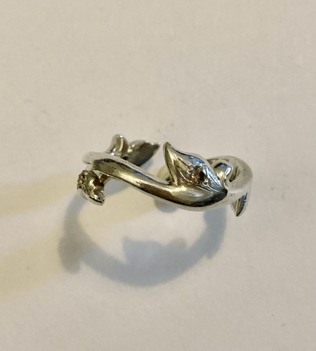 Branch_rings