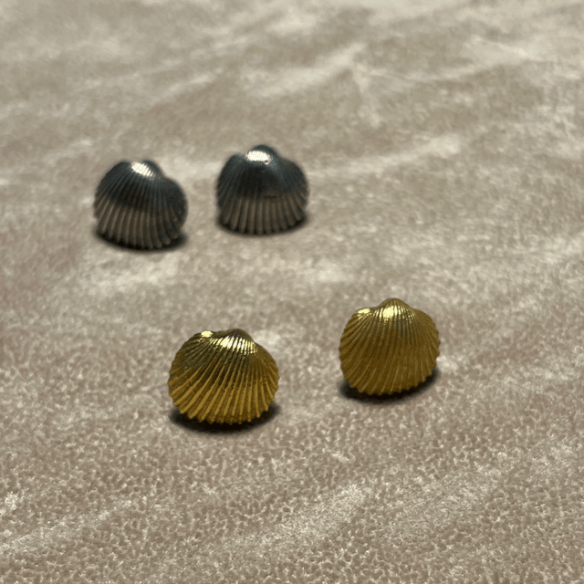 Shell Earrings