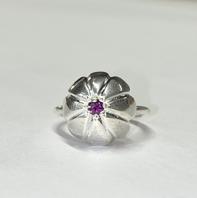 Pan_ring