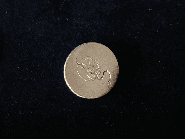 Pin_Ying Yang snake
