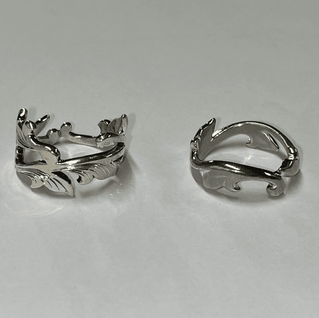 Branch_rings