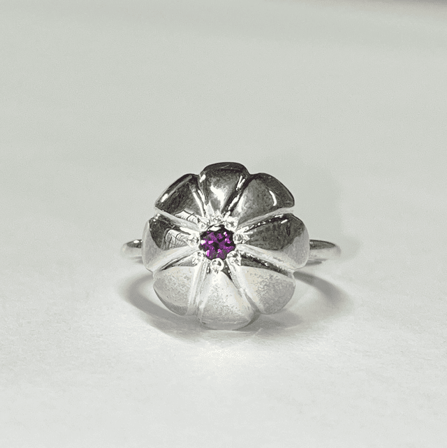 Pan_ring